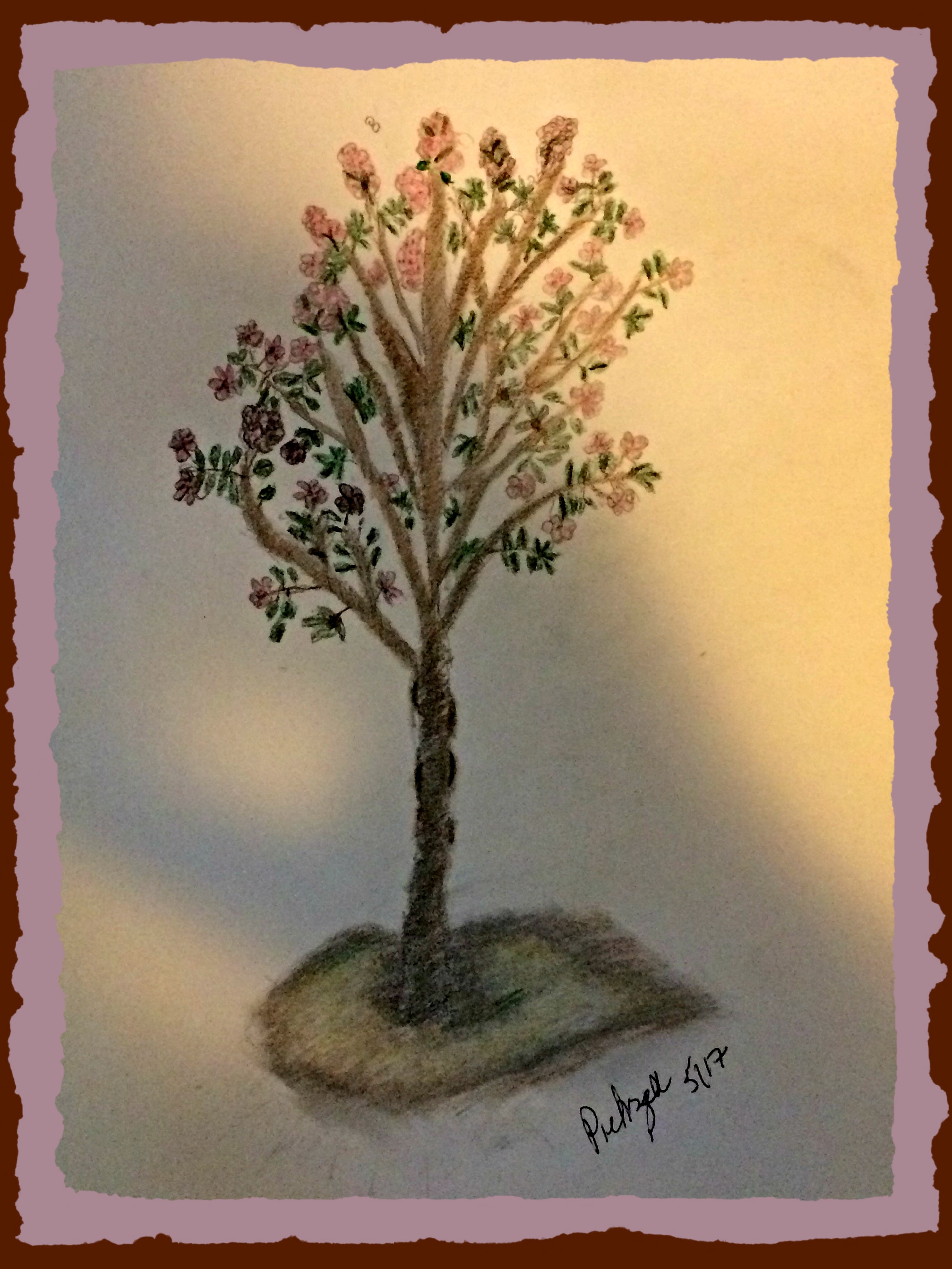 First Drawing – Rain, Rocks, and Rainbows